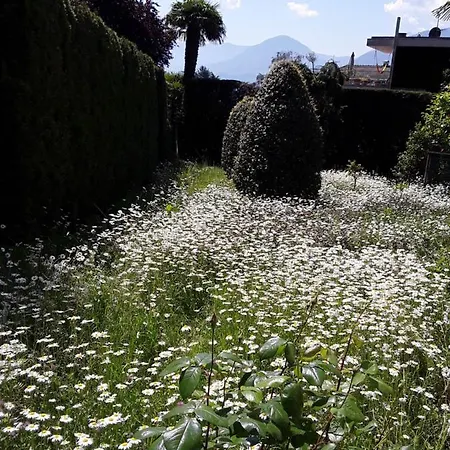 Coris Palma Apartament *