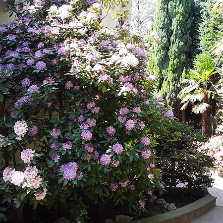 Coris Palma 아파트