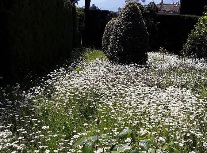 Coris Palma شقة *