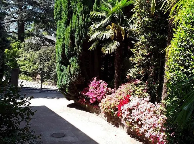 Apartment Coris Palma Merano