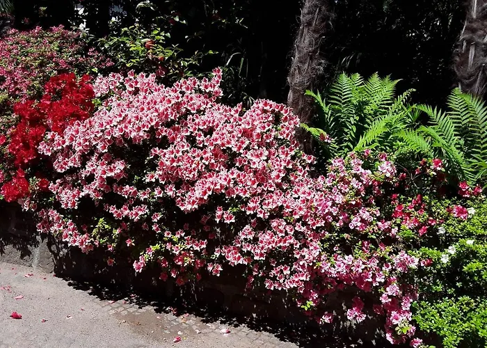 شقة Coris Palma *