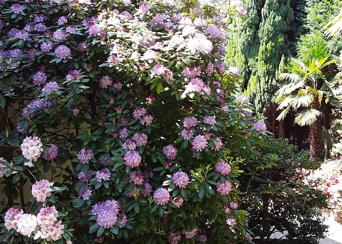 Coris Palma Apartment